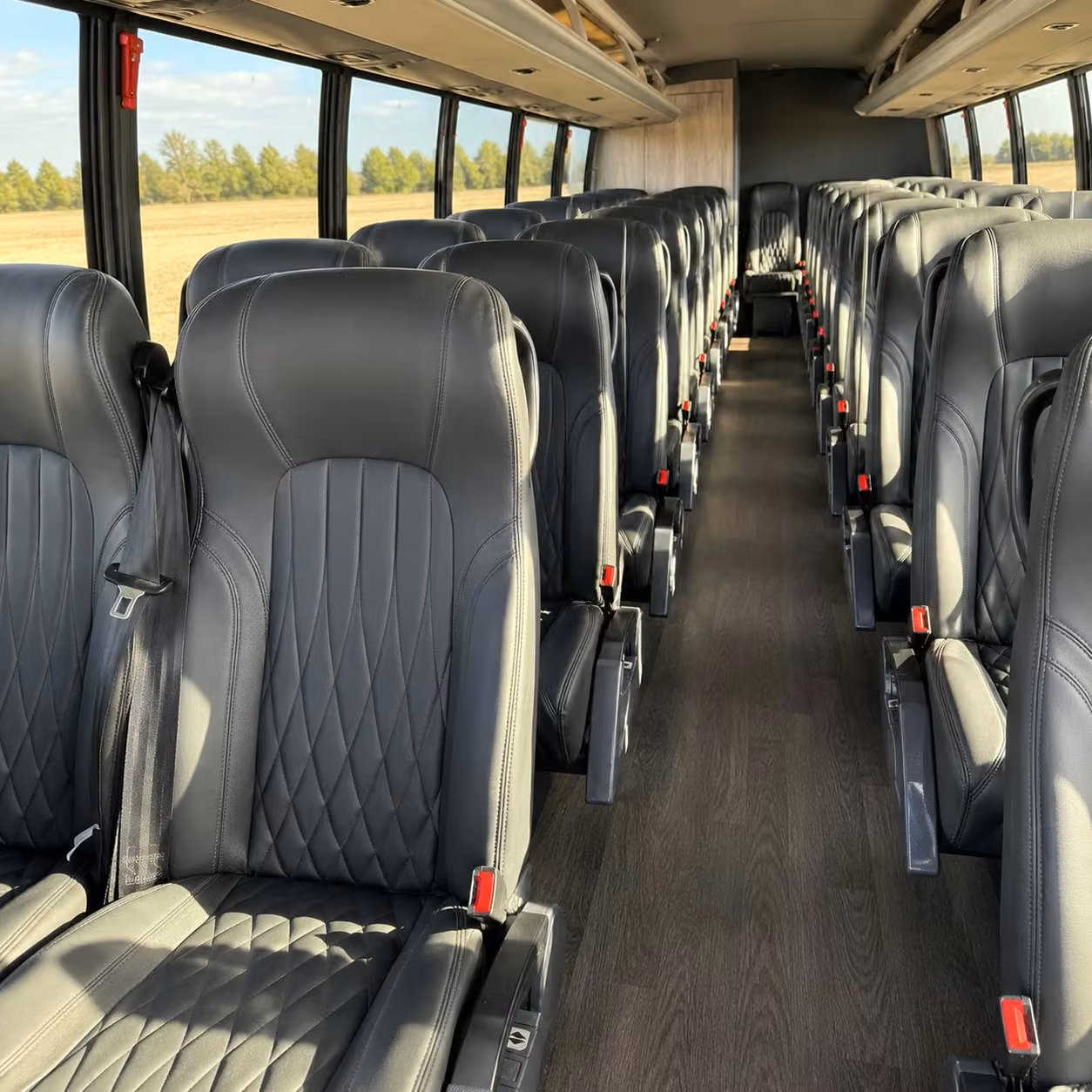 minibus rentals for smaller concert groups in lakewood